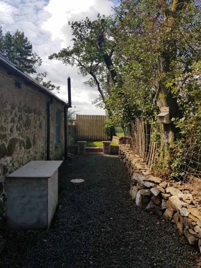 באליקאסל Cosy Cottage On The Causeway Coast And Glens מראה חיצוני תמונה